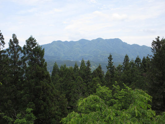 こちらは前回の小川村訪問で登った虫倉山