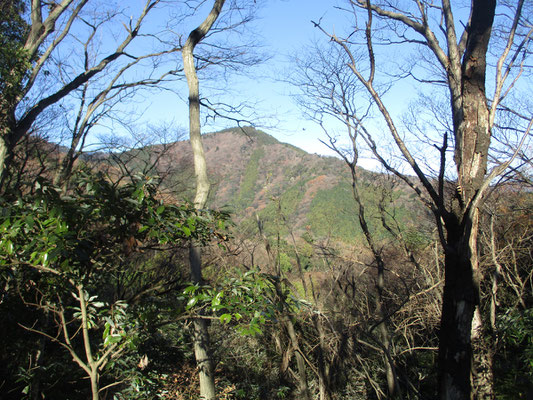 枝越しに隣りの鐘ヶ嶽が見える（あちらは人気の山なので、大勢の人が登っている）