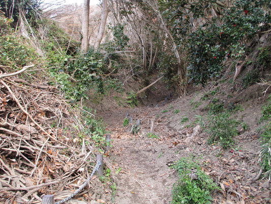 すぐに土砂で埋まった登山道になるが堆積物が取り除かれちゃんと歩けるようになっている