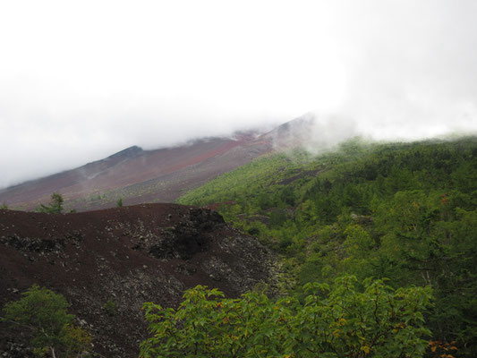 樹林限界を越えた富士山の素肌を垣間見る