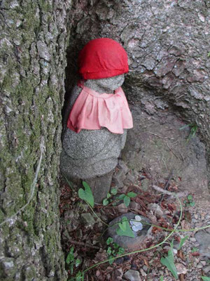 その途中におわします「モミの木地蔵」 会員の一人Sさんの作 手作りのお地蔵さまです