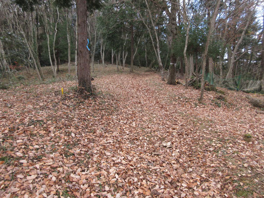 なんとも気分がいい場所　お弁当を食べるのにうってつけ