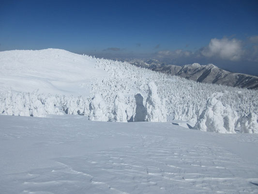 雪原と樹氷5