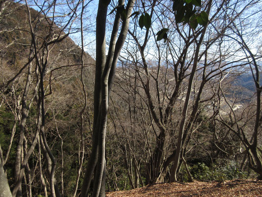 華厳山の影、後方に採石場が見える　