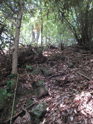 ここが一番の頑張りどころ　金比羅山への最後の急登　ロープが続き、意外としぼられた