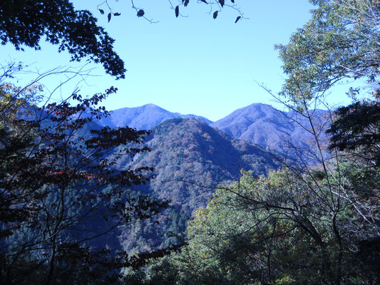 到着！　一番奥が丹沢最高峰の蛭ヶ岳　その右のピークはかつて登ったことのある榛ノ木丸　そして手前の山はヌタノ丸か