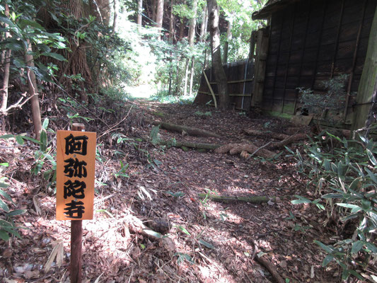 薄暗い山道を行くと、真新しい「阿弥陀寺」の標識がそこかしこに出てくる　おそらく塔ノ沢駅で下車した観光客向け