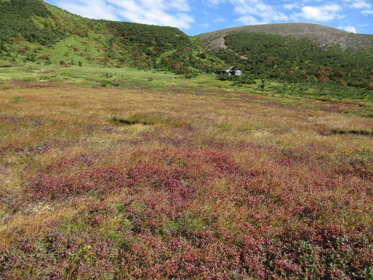 酸ヶ平の草紅葉の向こうには新しい避難小屋が見える　その奥が一切経山　今は火山性ガスの為、登路がこの避難小屋脇からのルートに限られている