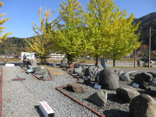 館前の広場に配置された岩も、実際の地形をなぞって置かれた岩石で構造線を忠実に辿っている
