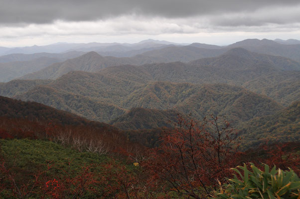 秋田と青森県境にうねうねと大きく連なる白神山地