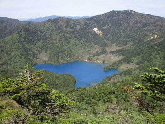 志賀山山頂奥からのぞいた真っ青な大沼池