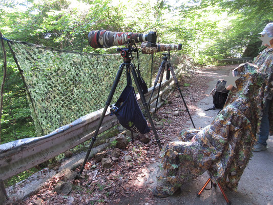 クマタカを狙ってのバードウォッチャー　カモフラージュも念入りだが、彼ら曰く「上から見られたらすぐバレちゃう」