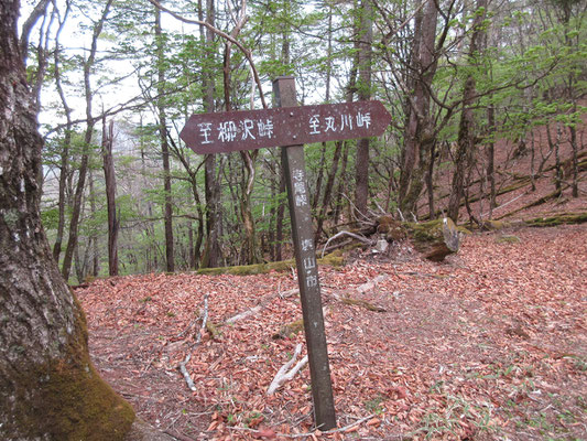 寺尾峠に到着　快調に進む