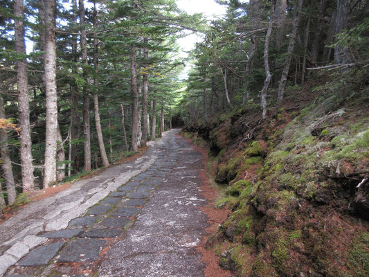 奥庭はこんな風な散策路が作られているが、踏み石はすべて溶岩で出来ているので、歩きやすいとは言い難い