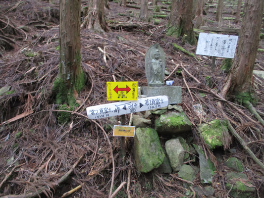 沢を越えると再びの植林帯で、しばらく行くとヲイ平という第１と第２真富士山の分岐点に出ました