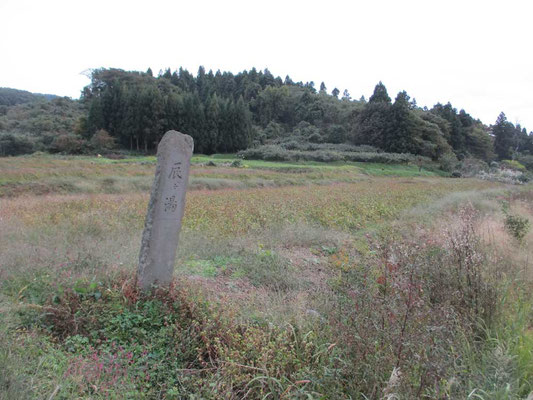 下山後、地図で見つけた「辰ヶ湯温泉」に投宿　この石碑を見つけて歴史ある温泉であると知りました　一軒宿の「辰ヶ湯旅館」は200年ほど前に開湯、主に農民が湯治で利用していたそうです