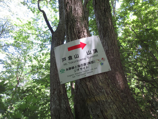 ここで角間池から大網峠経由で来る道と合流　山頂に向かう