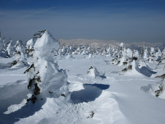 樹氷の間を登っていく
