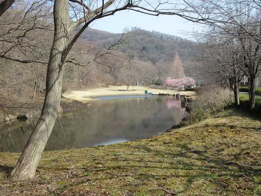 池を回り込んでから山道に入ることにする
