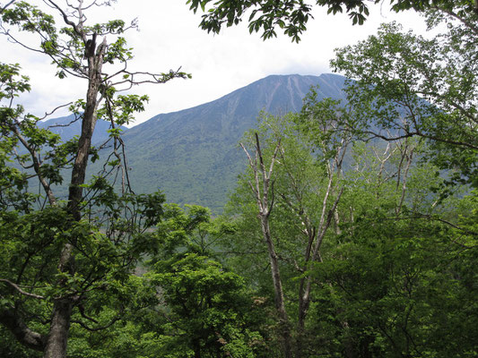 男体山が見えた