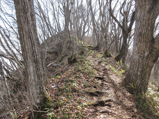 さて、最後の山頂に向けての登り