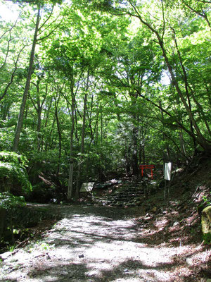 一の鳥居　ここが山道に入る登山口です