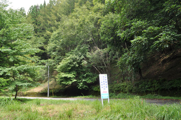 中央構造線が露呈している北川露頭に寄りました