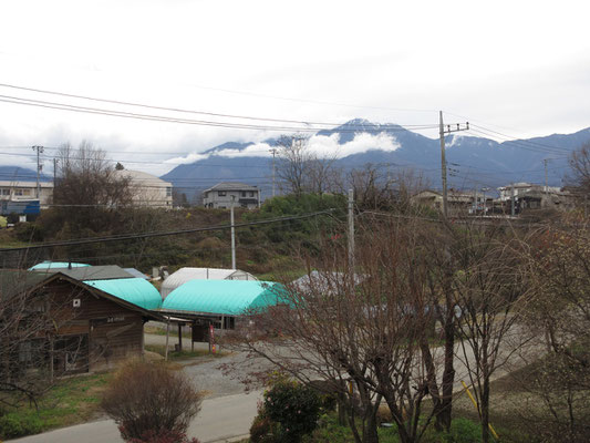 電線が玉に瑕だが、ふと気付けば地蔵岳の雲が切れている　前日の雨で少し雪が付いている　