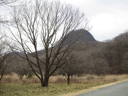 出発のときはまだ相馬山の姿が見えました