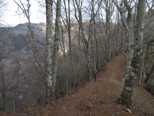 往路の峠まで戻ってきた
