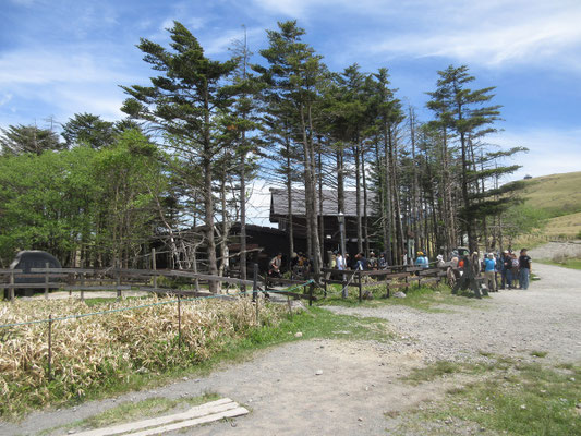 河岸を変えて車山の肩に行く コロボックルヒュッテ前には驚いたことに30人以上?の人が並んでいた! スケッチの前も後も見たが、人は減っていなかった 食事目当て?