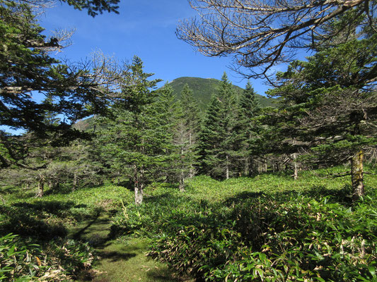 向こうには蓼科山が見える！