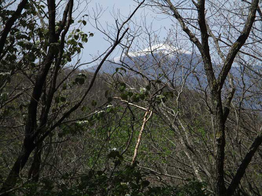 登っていると向こうに浅間山がだんだん見えてきました