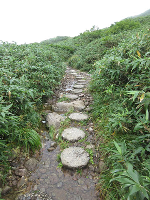 自然の山の石だけでなく、どこまでも丸く固めた（コンクリ？）の敷石が敷かれているのには驚く