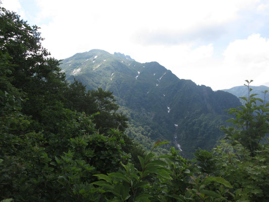 樹林の切れ間に八海山が見えた