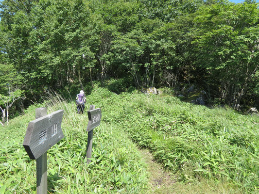 殿城山は下山路から少し外れる　せっかくなので、ピークまで行ってみることに…