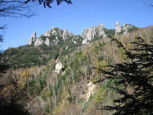 分岐を沢沿いの道に取り進みますが、ずっと瑞牆山の奇峰が樹林越しに見え隠れします