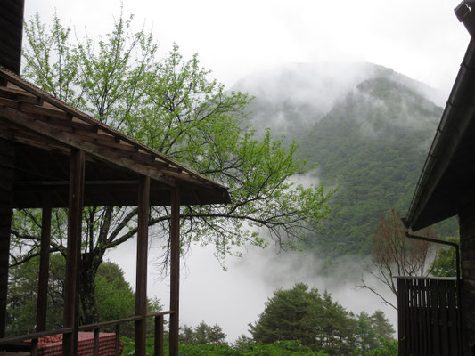 翌朝　雨に煙る　霧が生き物のように動く