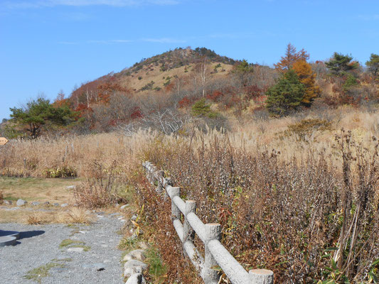 鷲ヶ峰につづく道