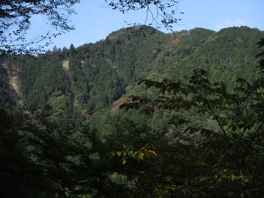 かなり登ったので経ヶ岳の山頂部が見えてきた　分かれたパーティはこの経ヶ岳の尾根を登っている