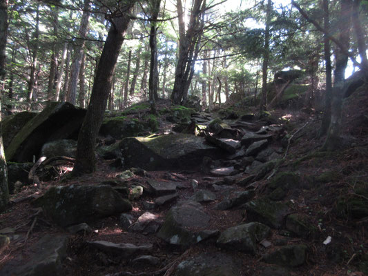 そしてだんだんと岩っぽい登りになってくる