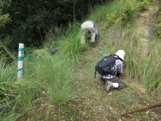 発句石ひろばへの下りの草がボウボウだったので、草刈り