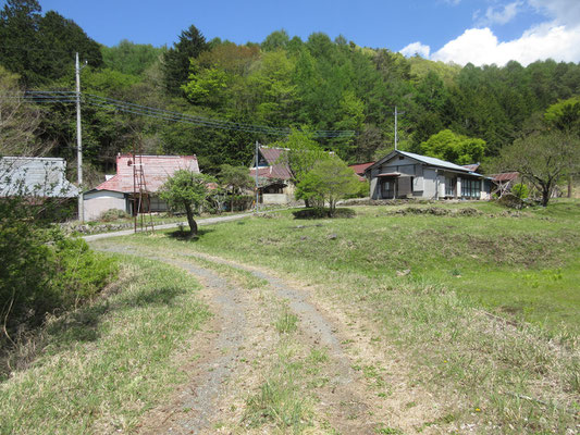 暫くの林道歩きで出会うのが樫山集落　人が住んでいない家屋が多くなっているようだが、この先にきれいに手入れされた墓地もあり、定期的に元住民などが出入りしているのだろう　荒れた様子はない