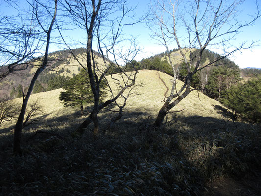 小金沢山への登りに取り付く頃に振り返ってみると、後ろの山並みが二つならび「おっぱい山」、いや「ブラジャー山」というか…