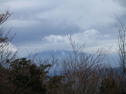 富士山・・・