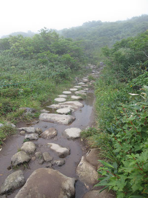 登っていく登山道の様子　上手く石が敷石のおうに組まれているので助かる