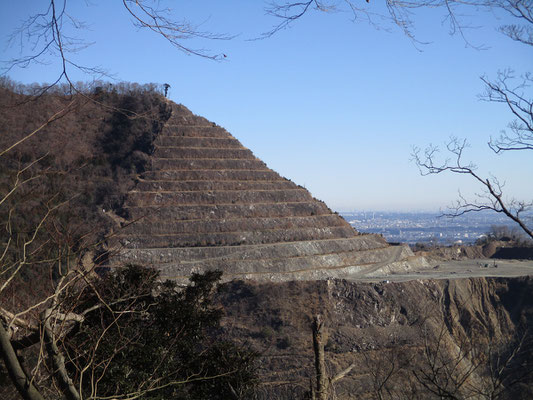 そしてアップで撮った発句石の箇所　突端に立っているシイノキがここからもよく見え目立っている