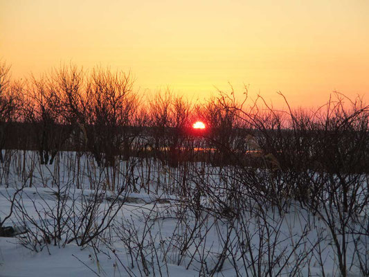 沈みゆく根室半島の夕陽