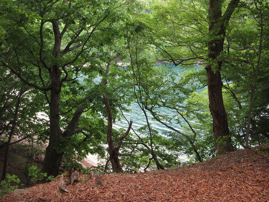 中禅寺湖の北の縁を歩くが、入江では水の色がエメラルドグリーン