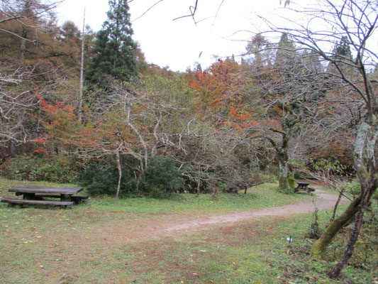 登山ではなく運動靴の散策で充分楽しめる園内